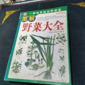 野菜大全