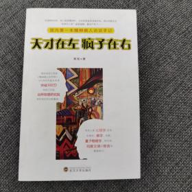 天才在左 疯子在右：国内第一本精神病人访谈手记