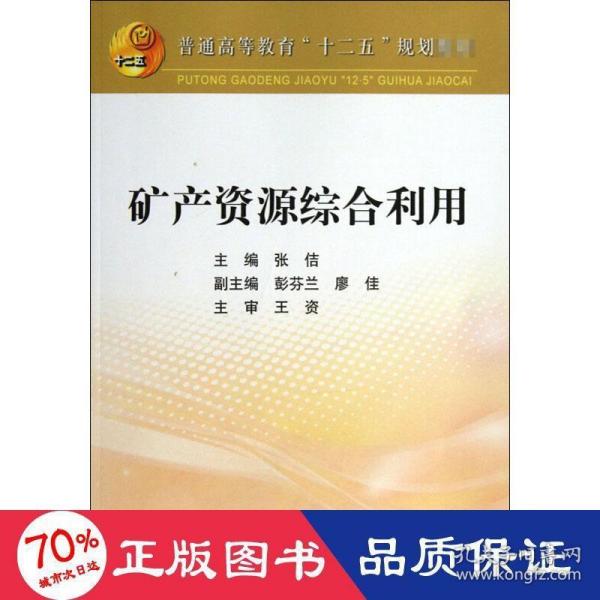 矿产资源综合利用/普通高等教育“十二五”规划教材