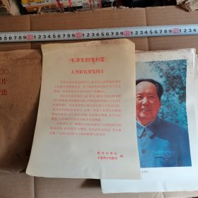 新闻照片，《毛泽东的情和爱》大型彩色展览图片（共41张）必见描述