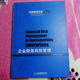 企业财务风险管理（标杆企业财务管理实务丛书）