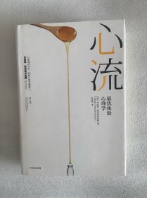 心流：最优体验心理学