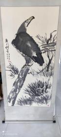傅星伯雄鹰 付星伯