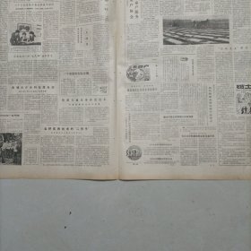 老报纸农民日报1986年安徽省阜南县新村教师姜春和办幼儿园 湖南省双峰县大泉乡科协副主席王振华技术学习班遵义县科协举办培训班推广食用菌湖北省新洲县烽火山村讲技术 湖南省浏阳县城关镇城东村 养鸡专业户 王业敬山西省大同县落阵营村种植专业户范成忠省五华县县科委白蚁防治研究所所长彭展金