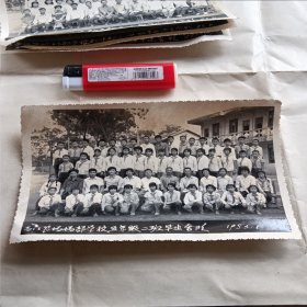 贵县西江农场场部 学校五年级二班毕业合影1983年六月