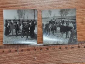 1965怀远县藕塘公社，马匹交易老照片两种