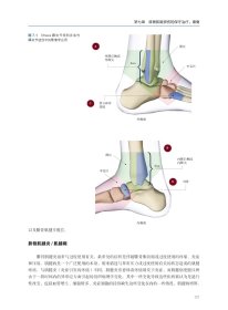 腓骨肌腱：临床评估与处理原则