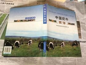 医学类书籍：中国奶牛图谱，16开。精装