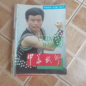 中华武术 1995年（1.3—12）11册