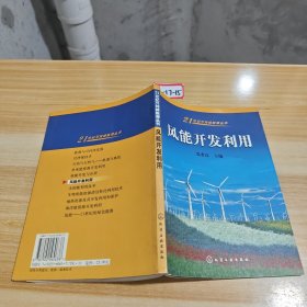 风能开发利用——21世纪可持续能源丛书