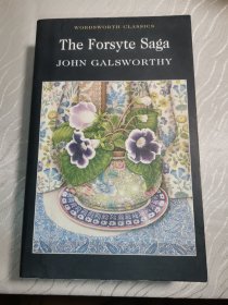 The Forsyte Saga 福尔赛世家