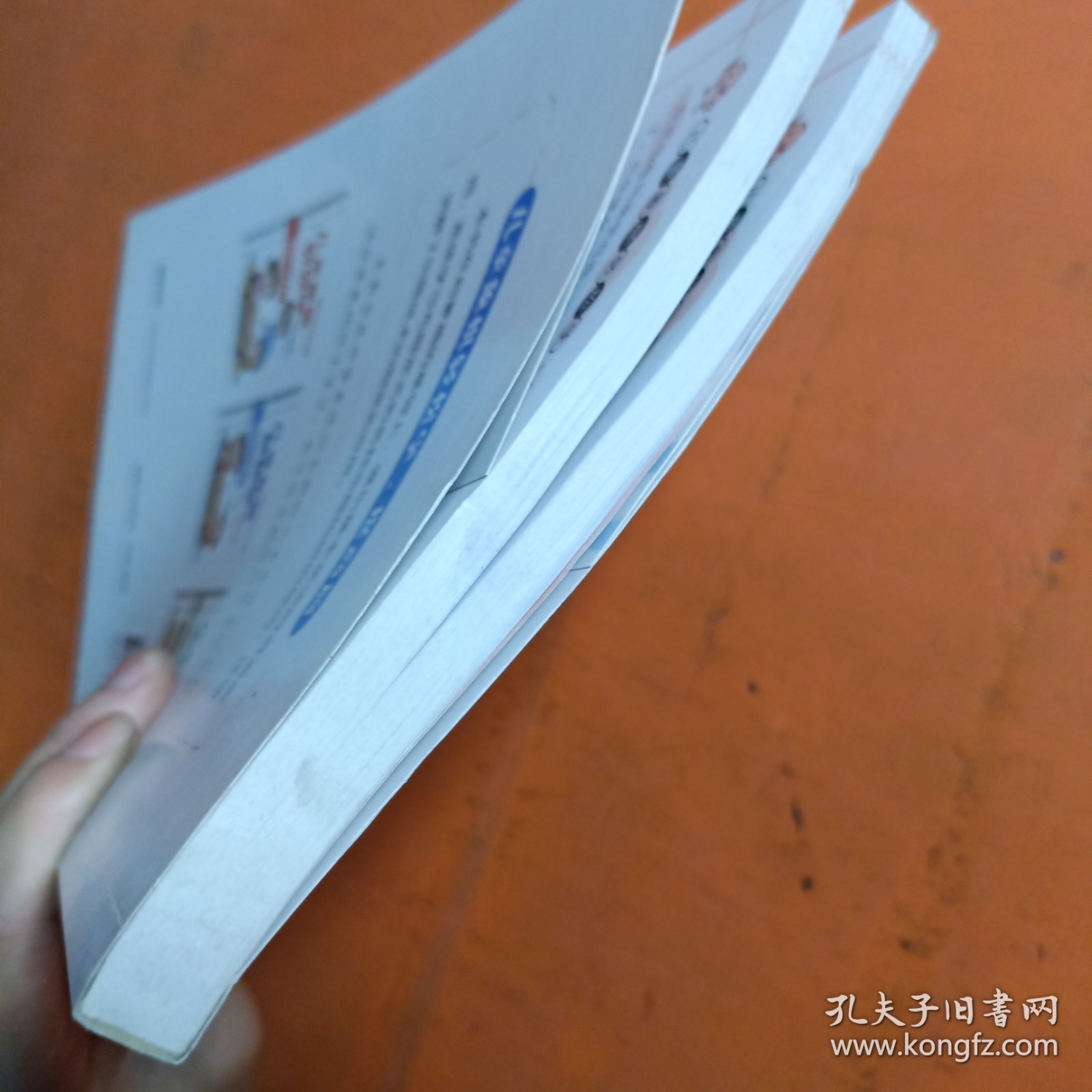 儿童象棋轻松学.提高篇