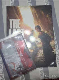 Last of Us Poster Collection 海报 最后的我们 美国末日海报 电脑游戏