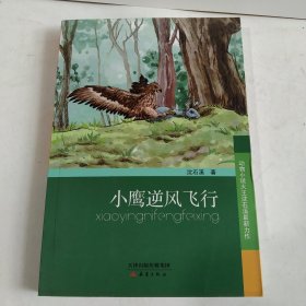 小鹰逆风飞行