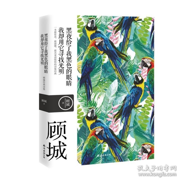 名诗名画系列《黑夜给了我黑色的眼睛，我却用它寻找光明》 ——顾城经典诗集