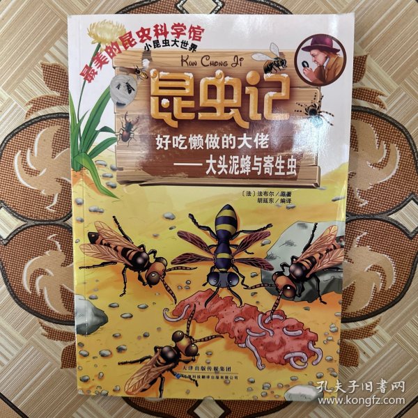 昆虫记·好吃懒做的大佬：大头泥蜂与寄生虫