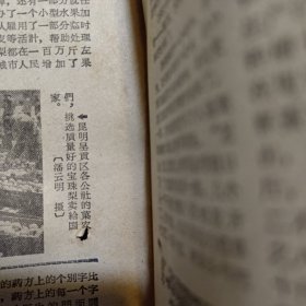 原版老报纸1期：《云南日报》1962年10月17日【有装订孔，品相如图】
宜良县蓬莱公社永新大队第四生产队合理组织劳动力担收黄谷。[吕华昌摄〕
晋宁县上蒜公社上蒜大队湾村生产队社员把好菸交售耠国家。〔慧芬摄〕
宾|川|坝|子|喜|摘|新|棉
中共陆艮县委书 王兰亭
营业具曹以中 柴廷华玉溪杯湖供鲔社主任蔡学礼
陆艮县先锋公社菜园生产大队党支部书记孙小祥