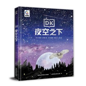 DK夜空之下 9787115595348