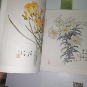 怎样画草本花卉（一）
