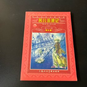 苦儿流浪记 青少版