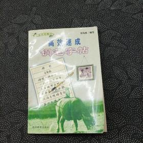 高效速成钢笔字帖.