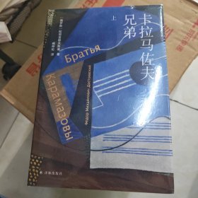 卡拉马佐夫兄弟（陀思妥耶夫斯基精选集 臧仲伦译本）