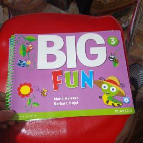 WORKBOOK BIG FUN 3（2本合）