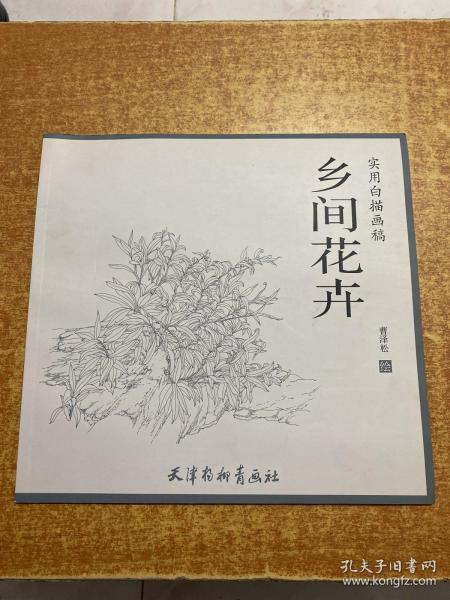 乡间花卉/实用白描画稿