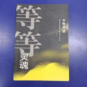 等等灵魂