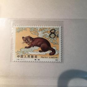 邮票T68（2-1）紫貂
