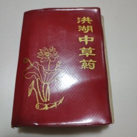 洪湖中草药