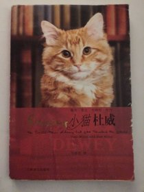 小猫杜威 1