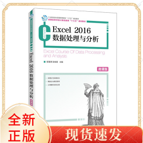 Excel2016数据处理与分析（微课版）