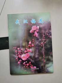 武汉梅花