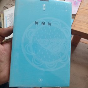 倒视镜