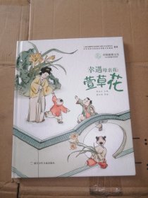 幸遇母亲花：萱草花