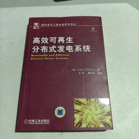 高效可再生分布式发电系统