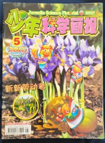 《少年科学画报》2012年 第5.6.7.8.9.11.12 七期六册 7.8合刊 少年科学画报杂志社 私藏 书品如图.