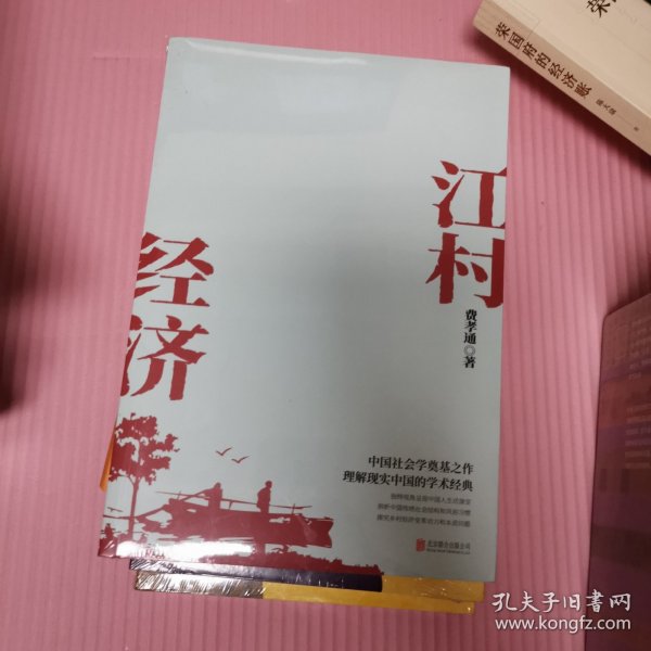 江村经济（社会学泰斗费孝通学术经典！国际人类学界的经典之作；一书了解现实的中国。）