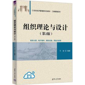 组织理论与设计 大中专理科科技综合 于斌编