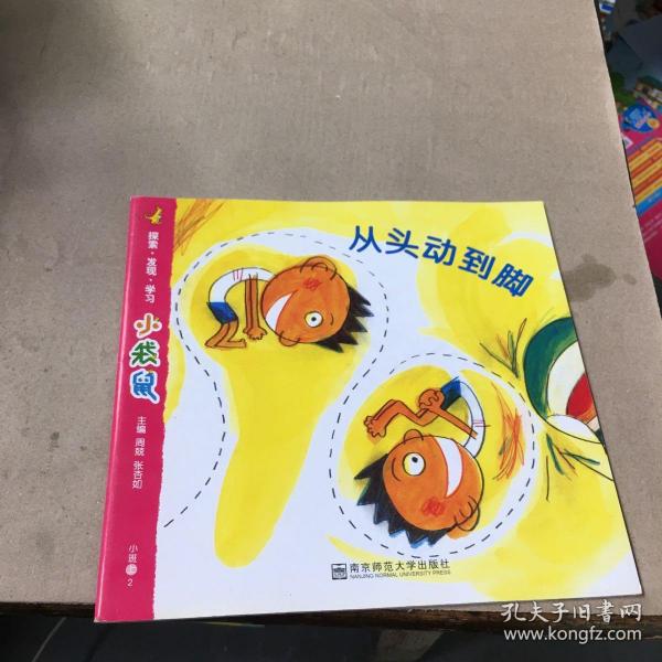 小袋鼠