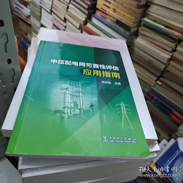 中压配电网可靠性评估应用指南