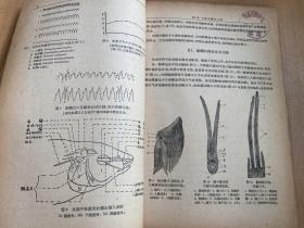 鱼类生理学（水产养殖专业用）1961年一版一印