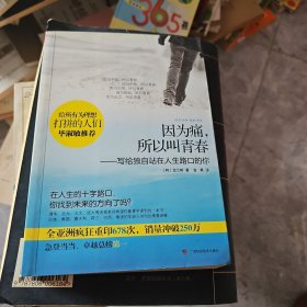 因为痛，所以叫青春：写给独自站在人生路口的你