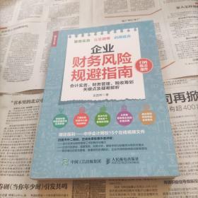 企业财务风险规避指南 会计实务 财务管理 税收筹划关键点及疑难解析