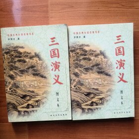 三国演义（图文本、上下册）