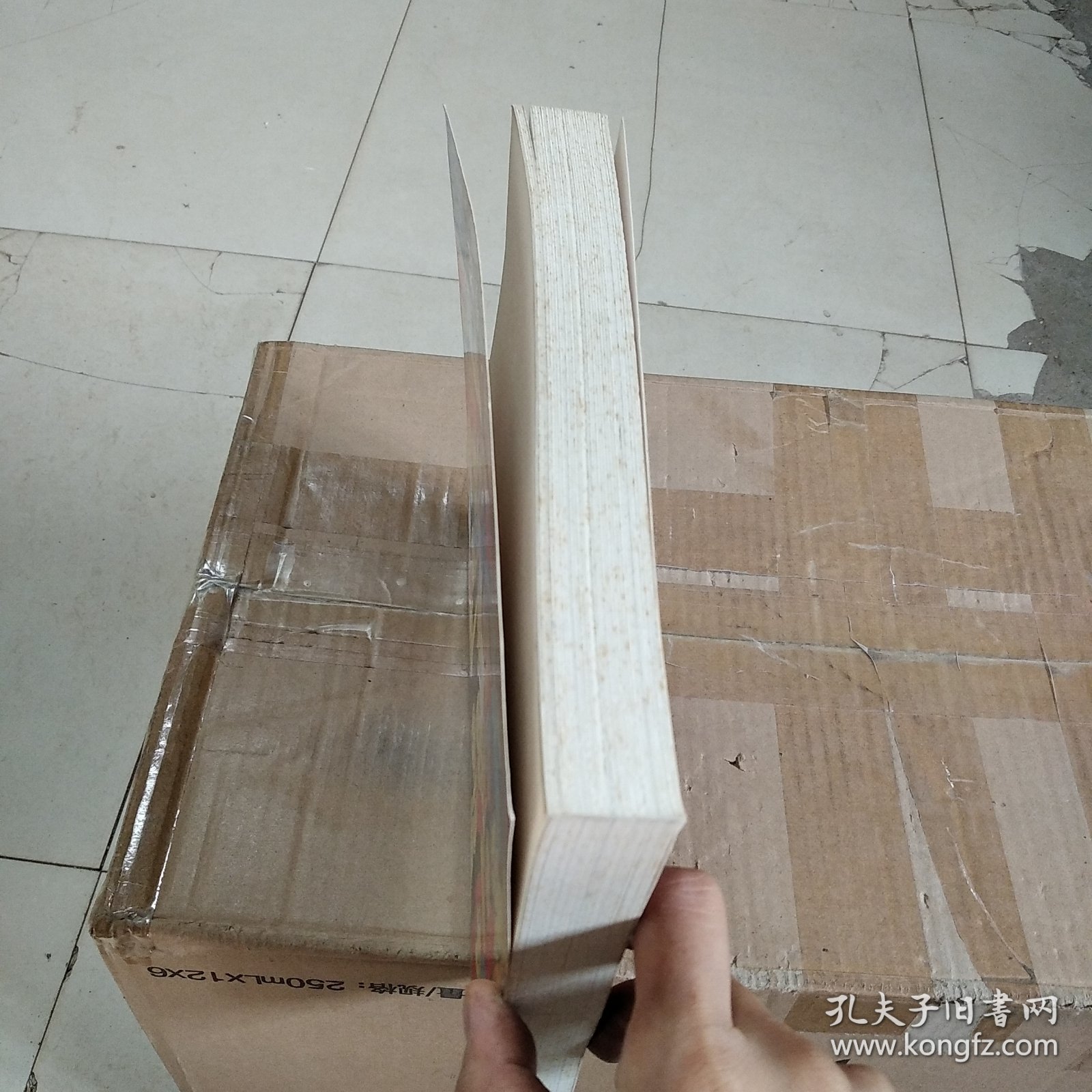 社会心理学 第八版