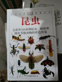 昆虫：全世界550多种昆虫、蜘蛛和陆生节肢动物的彩色图鉴[正版](大本32开10)