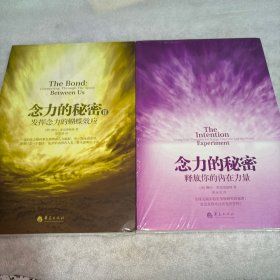 念力的秘密1、2：发挥念力的蝴蝶效应、释放你的内在力量（两册）