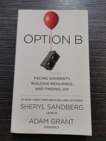 Option B: Facing Adversity, Building Resilience, and Finding Joy:原版英文书